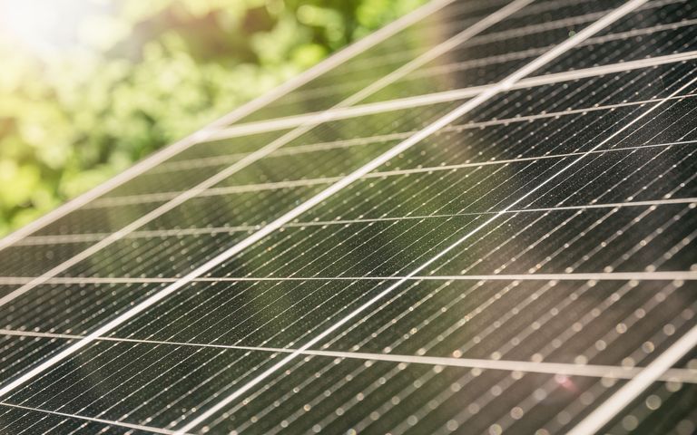 Frankenthal gibt grünes Licht für riesigen Solarpark