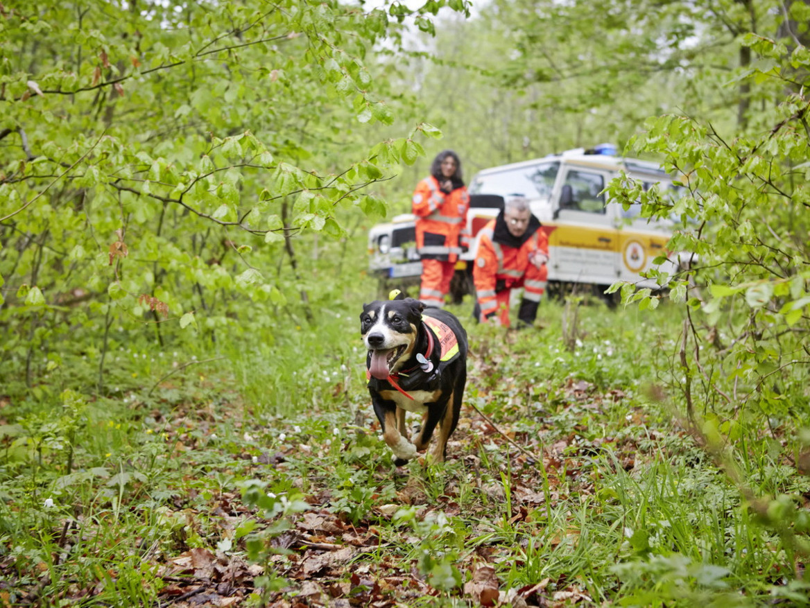 Rettungshundeführer im Einsatz. Foto: Bundesverband Rettungshunde e.V.