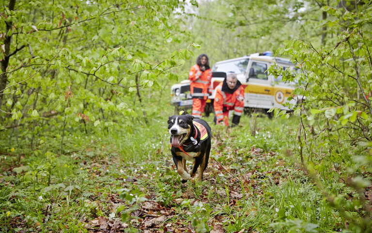 Rettungshundeführer im Einsatz. Foto: Bundesverband Rettungshunde e.V.