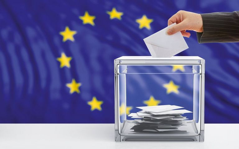 Die wichtigsten Fakten zur Europawahl