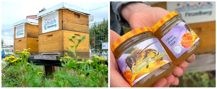 Zwei Bienenstöcke mit je 50.000 Bienen auf dem Betriebsgelände von Finzelberg in Andernach. Ein Teil ihrer Ernte von 2024, insgesamt 40 Kilogramm, ist in zwei Gläsern zu sehen. Fotos: Daniel Roth/IW Medien