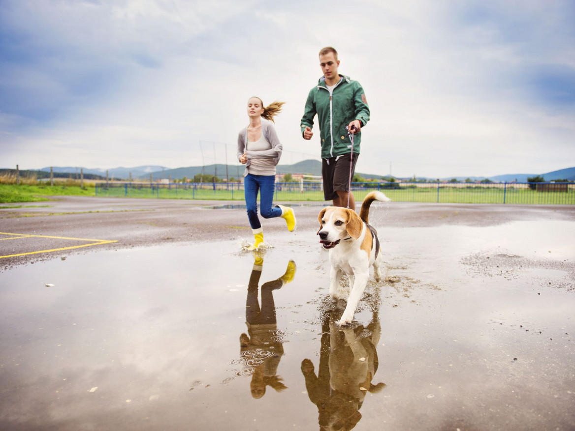 Junges Paar mit Hund beim Joggen nach dem Regen. Foto: Storyblocks