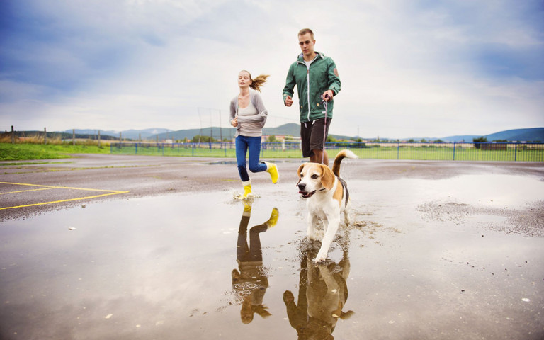 Junges Paar mit Hund beim Joggen nach dem Regen. Foto: Storyblocks