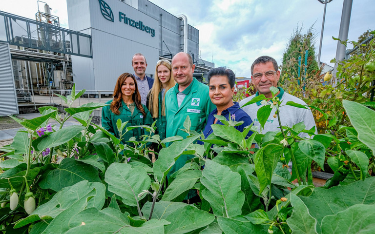 Finzelberg-Team im Nutzgarten auf dem Betriebsgelände zwischen blühenden Auberginenpflanzen und Tomatenstauden (von links: Nadine Mohrs, Christoph Roos, Lina Köhn, Wadim Pfaff, Harmandeep Kumm und Michael Winter). Foto: Daniel Roth/IW Medien