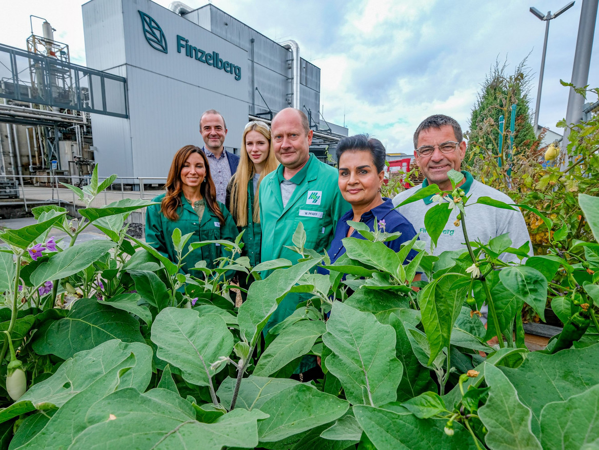 Finzelberg-Team im Nutzgarten auf dem Betriebsgelände zwischen blühenden Auberginenpflanzen und Tomatenstauden (von links: Nadine Mohrs, Christoph Roos, Lina Köhn, Wadim Pfaff, Harmandeep Kumm und Michael Winter). Foto: Daniel Roth/IW Medien