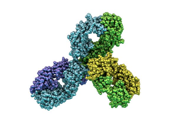 Molekülmodell des Wirkstoffs Pembrolizumab. Foto: Dr._Microbe – stock.adobe.com